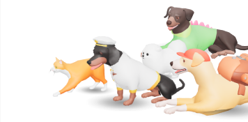 Five stray pets — a cat, a dachshund, a pomeranian and two dogs